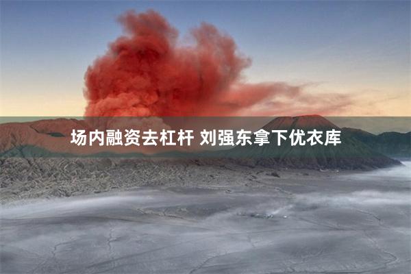 场内融资去杠杆 刘强东拿下优衣库