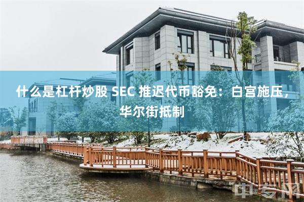什么是杠杆炒股 SEC 推迟代币豁免：白宫施压，华尔街抵制