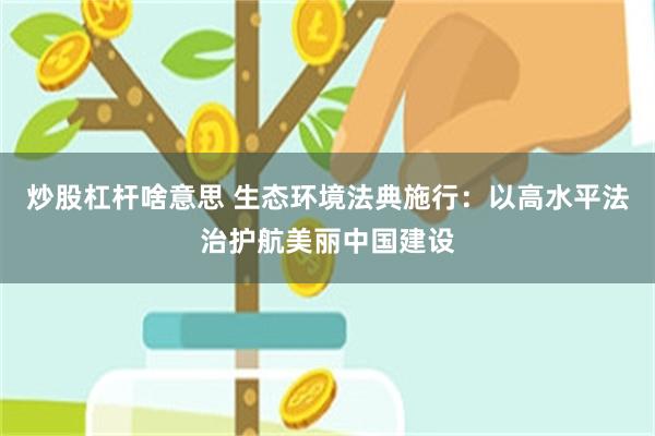 炒股杠杆啥意思 生态环境法典施行：以高水平法治护航美丽中国建设