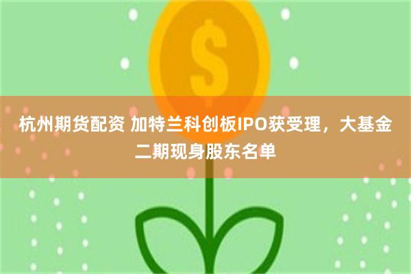 杭州期货配资 加特兰科创板IPO获受理，大基金二期现身股东名单
