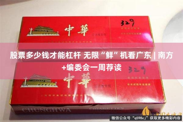 股票多少钱才能杠杆 无限“鲜”机看广东 | 南方+编委会一周荐读