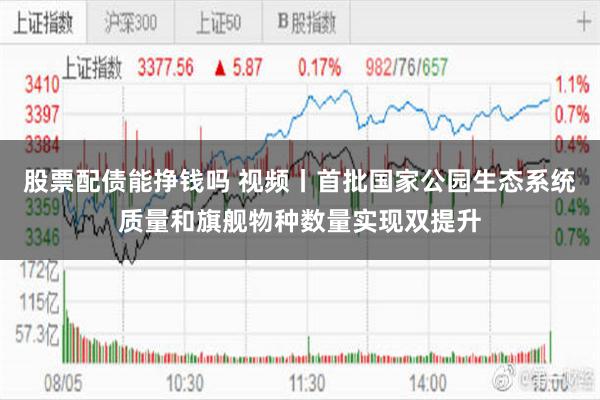 股票配债能挣钱吗 视频丨首批国家公园生态系统质量和旗舰物种数量实现双提升