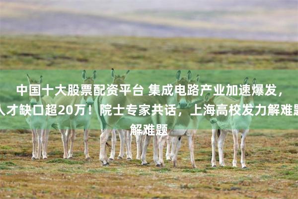 中国十大股票配资平台 集成电路产业加速爆发，人才缺口超20万！院士专家共话，上海高校发力解难题