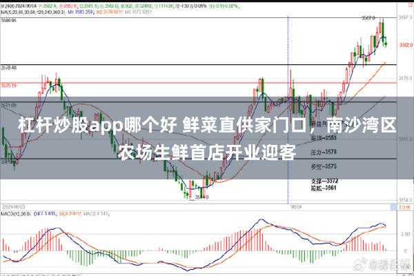 杠杆炒股app哪个好 鲜菜直供家门口，南沙湾区农场生鲜首店开业迎客