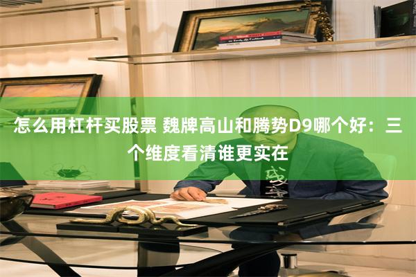 怎么用杠杆买股票 魏牌高山和腾势D9哪个好：三个维度看清谁更实在