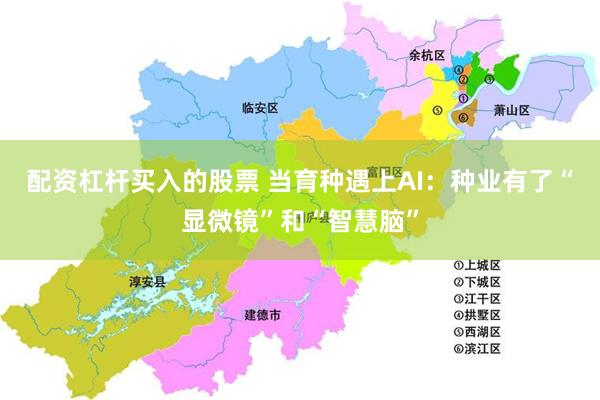 配资杠杆买入的股票 当育种遇上AI：种业有了“显微镜”和“智慧脑”