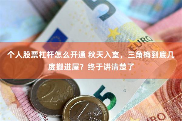 个人股票杠杆怎么开通 秋天入室，三角梅到底几度搬进屋？终于讲清楚了