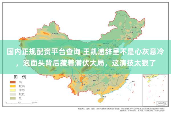 国内正规配资平台查询 王凯递辞呈不是心灰意冷,泡面头背后藏着潜伏大局,这演技太狠了