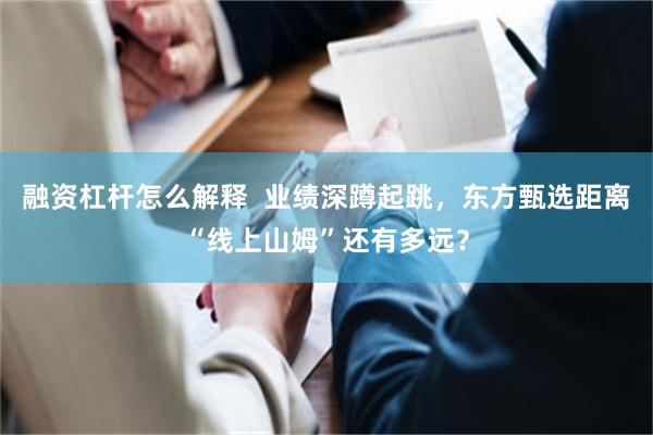 融资杠杆怎么解释  业绩深蹲起跳，东方甄选距离“线上山姆”还有多远？