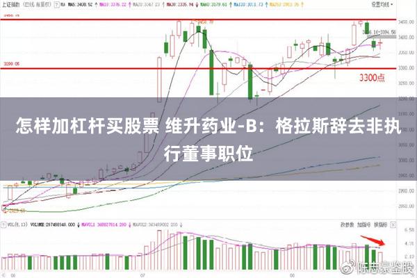 怎样加杠杆买股票 维升药业-B：格拉斯辞去非执行董事职位