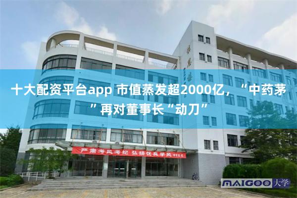 十大配资平台app 市值蒸发超2000亿，“中药茅”再对董事长“动刀”