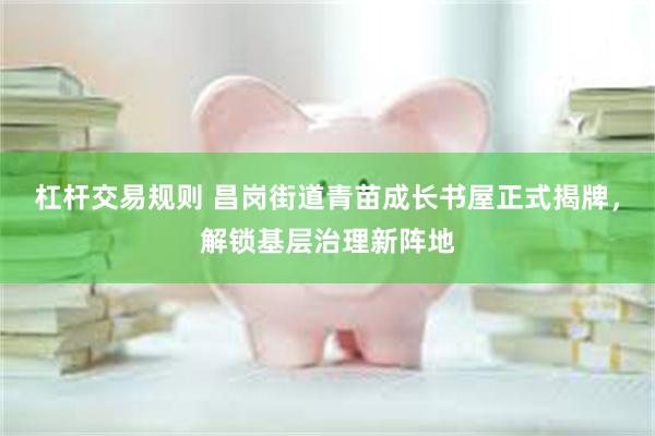 杠杆交易规则 昌岗街道青苗成长书屋正式揭牌，解锁基层治理新阵地